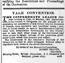 The Yale Confederate League